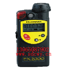 便携式氨气检测仪-EX2000