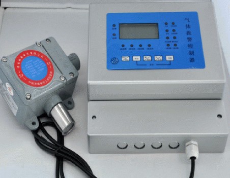 武汉RBK-6000-2丙烷报警器/丙烷浓度报警器/丙烷泄漏报警器